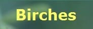 birches-logo